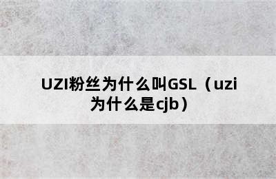 UZI粉丝为什么叫GSL（uzi为什么是cjb）