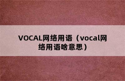 VOCAL网络用语（vocal网络用语啥意思）