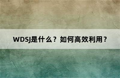 WDSJ是什么？如何高效利用？