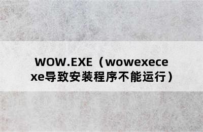 WOW.EXE（wowexecexe导致安装程序不能运行）