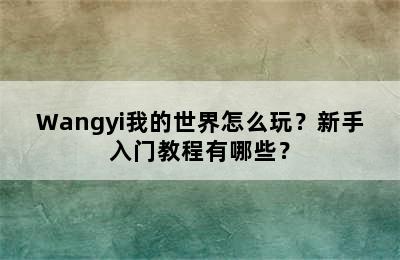 Wangyi我的世界怎么玩？新手入门教程有哪些？