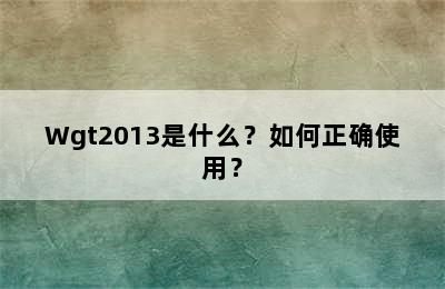 Wgt2013是什么？如何正确使用？