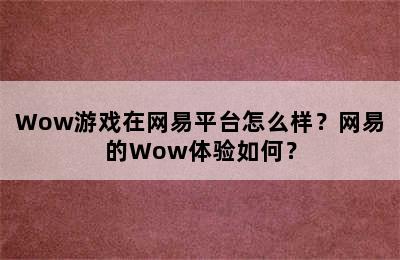 Wow游戏在网易平台怎么样？网易的Wow体验如何？