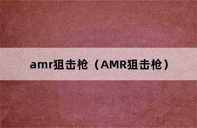 amr狙击枪（AMR狙击枪）