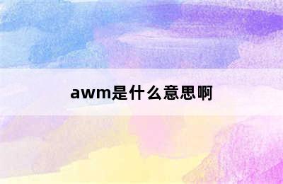 awm是什么意思啊