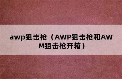 awp狙击枪（AWP狙击枪和AWM狙击枪开箱）