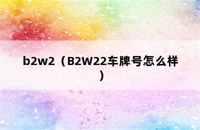 b2w2（B2W22车牌号怎么样）