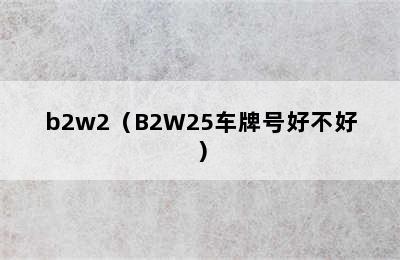 b2w2（B2W25车牌号好不好）