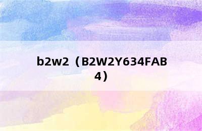 b2w2（B2W2Y634FAB4）