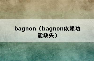 bagnon（bagnon依赖功能缺失）