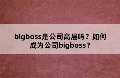 bigboss是公司高层吗？如何成为公司bigboss？