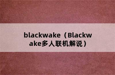 blackwake（Blackwake多人联机解说）