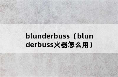 blunderbuss（blunderbuss火器怎么用）