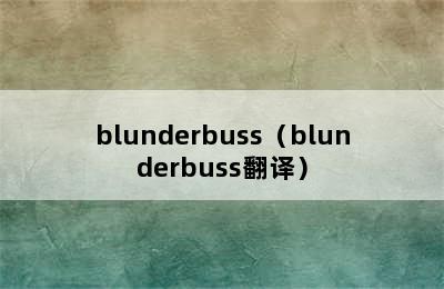 blunderbuss（blunderbuss翻译）