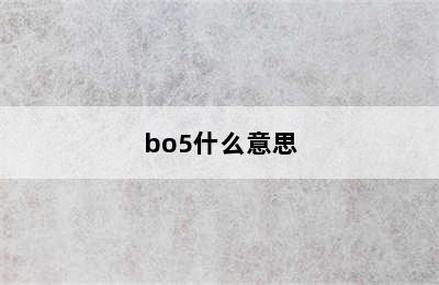 bo5什么意思