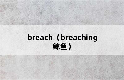 breach（breaching鲸鱼）