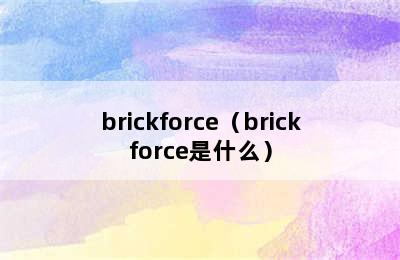 brickforce（brickforce是什么）