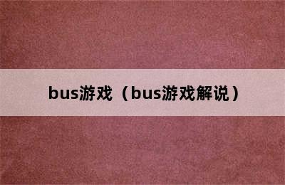 bus游戏（bus游戏解说）