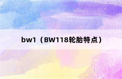 bw1（BW118轮胎特点）