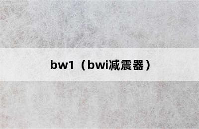 bw1（bwi减震器）