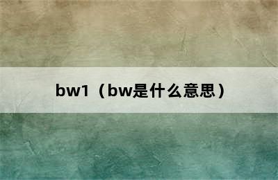 bw1（bw是什么意思）