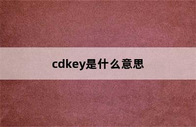 cdkey是什么意思