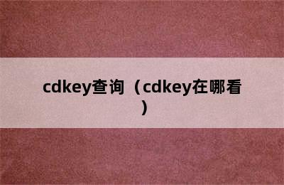 cdkey查询（cdkey在哪看）