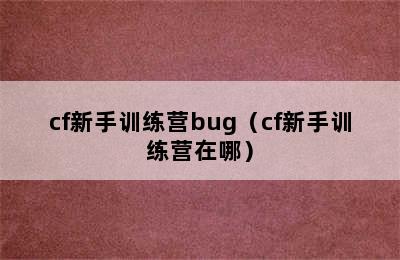 cf新手训练营bug（cf新手训练营在哪）