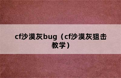 cf沙漠灰bug（cf沙漠灰狙击教学）