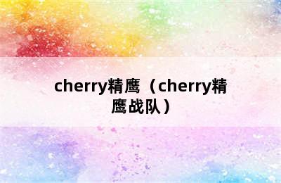 cherry精鹰（cherry精鹰战队）