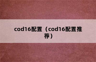 cod16配置（cod16配置推荐）