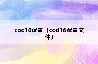 cod16配置（cod16配置文件）