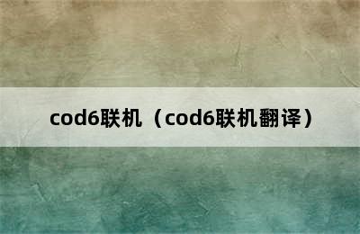 cod6联机（cod6联机翻译）