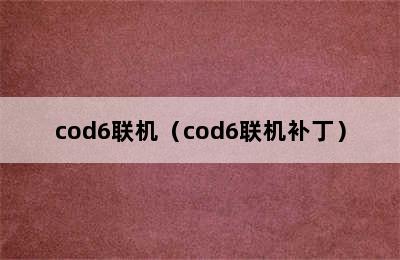 cod6联机（cod6联机补丁）