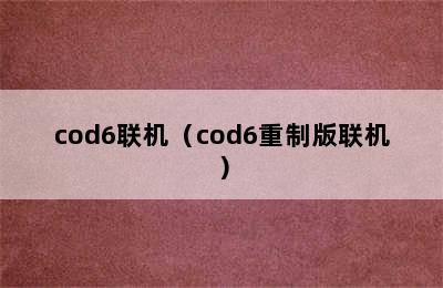 cod6联机（cod6重制版联机）