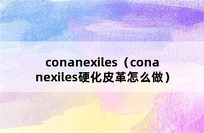 conanexiles（conanexiles硬化皮革怎么做）