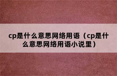 cp是什么意思网络用语（cp是什么意思网络用语小说里）