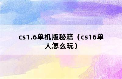 cs1.6单机版秘籍（cs16单人怎么玩）