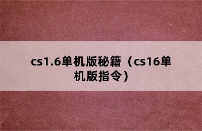 cs1.6单机版秘籍（cs16单机版指令）