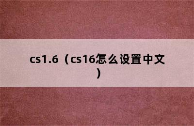 cs1.6（cs16怎么设置中文）