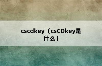 cscdkey（csCDkey是什么）