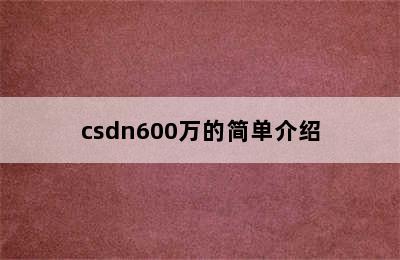 csdn600万的简单介绍