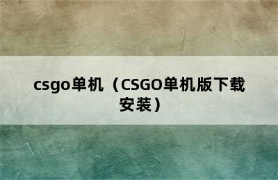 csgo单机（CSGO单机版下载安装）