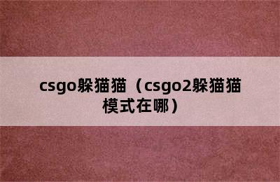 csgo躲猫猫（csgo2躲猫猫模式在哪）