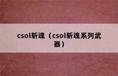 csol斩魂（csol斩魂系列武器）