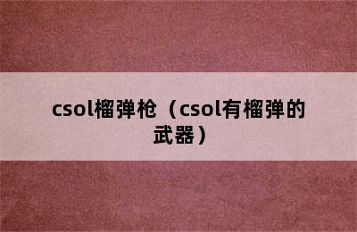 csol榴弹枪（csol有榴弹的武器）