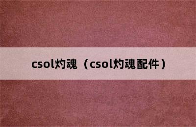 csol灼魂（csol灼魂配件）