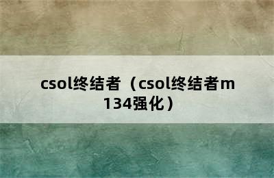 csol终结者（csol终结者m134强化）