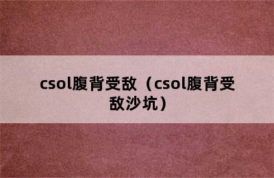 csol腹背受敌（csol腹背受敌沙坑）