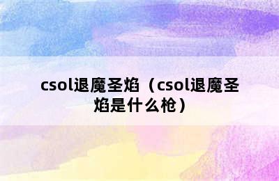 csol退魔圣焰（csol退魔圣焰是什么枪）